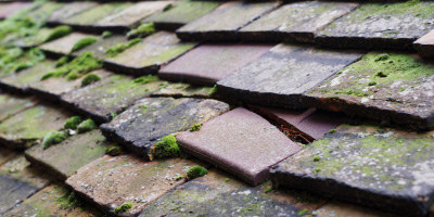 Stapleford roof repair costs